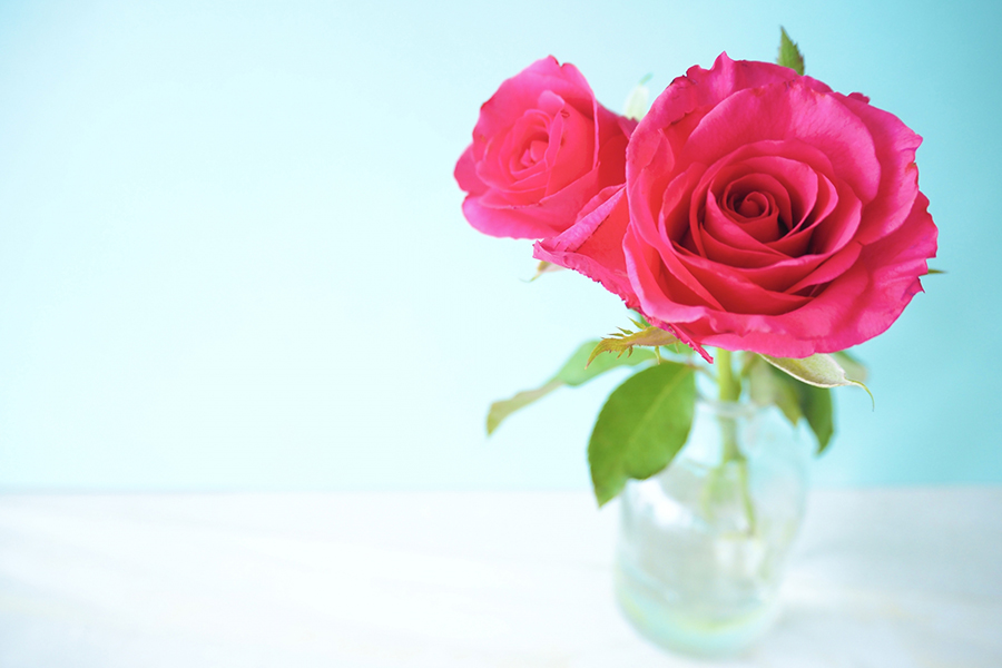 花瓶に生けたバラのイメージ写真